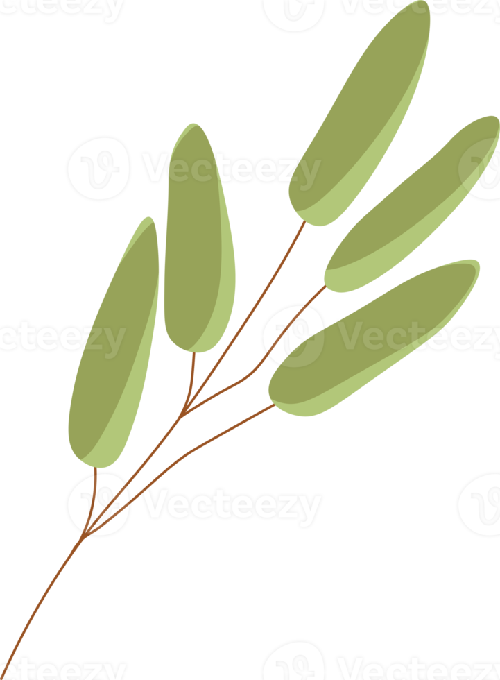 Peanut branch. peanut leaves png