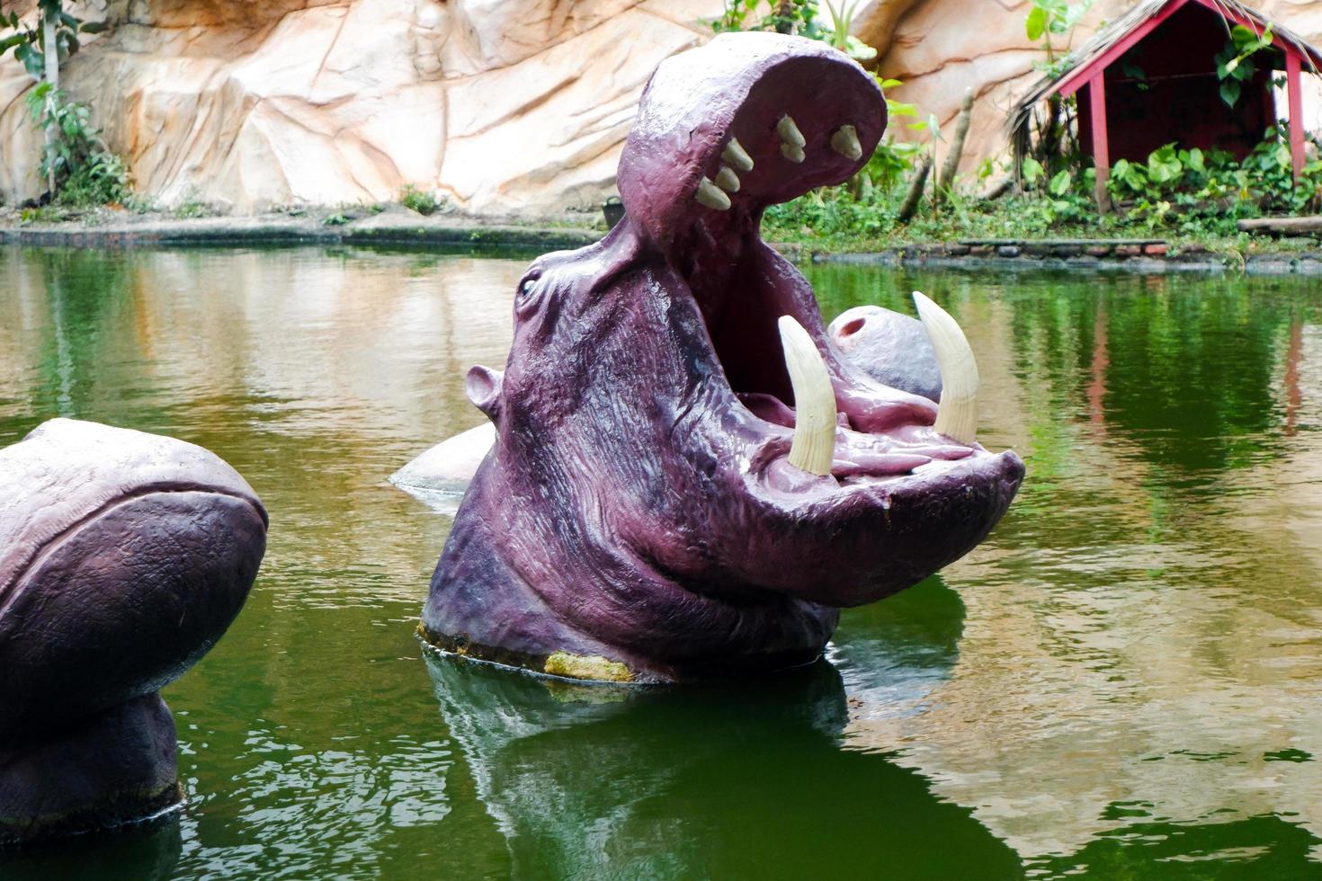 Selective focus of hippos swimming in the lake. photo