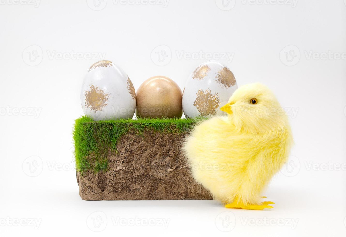 Chicken next to stone pedestal with grass and painted gold and white eggs on white background. Easter. Copy space photo