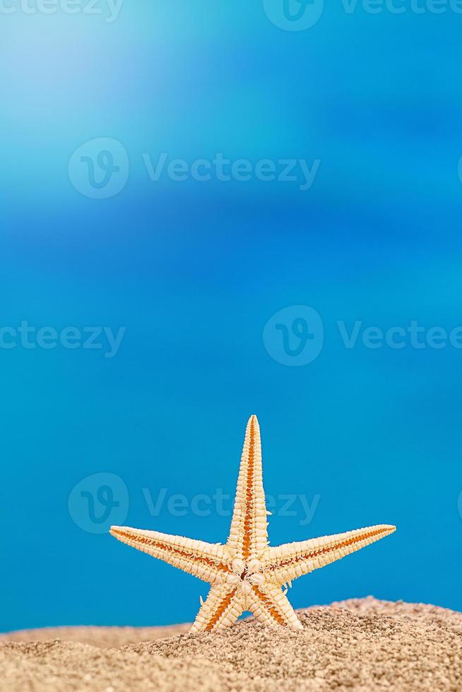 Starfish stands on sand on beach, behind sea. Vacation, beach, travel concept. Vertical. Copy space photo