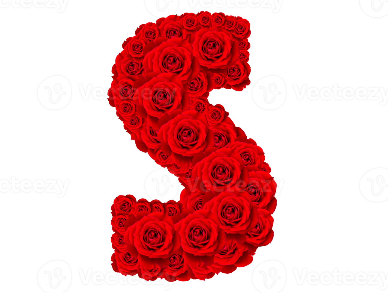 Rose Alphabet einstellen - - Alphabet Hauptstadt Brief s gemacht von rot Rose Blüten png