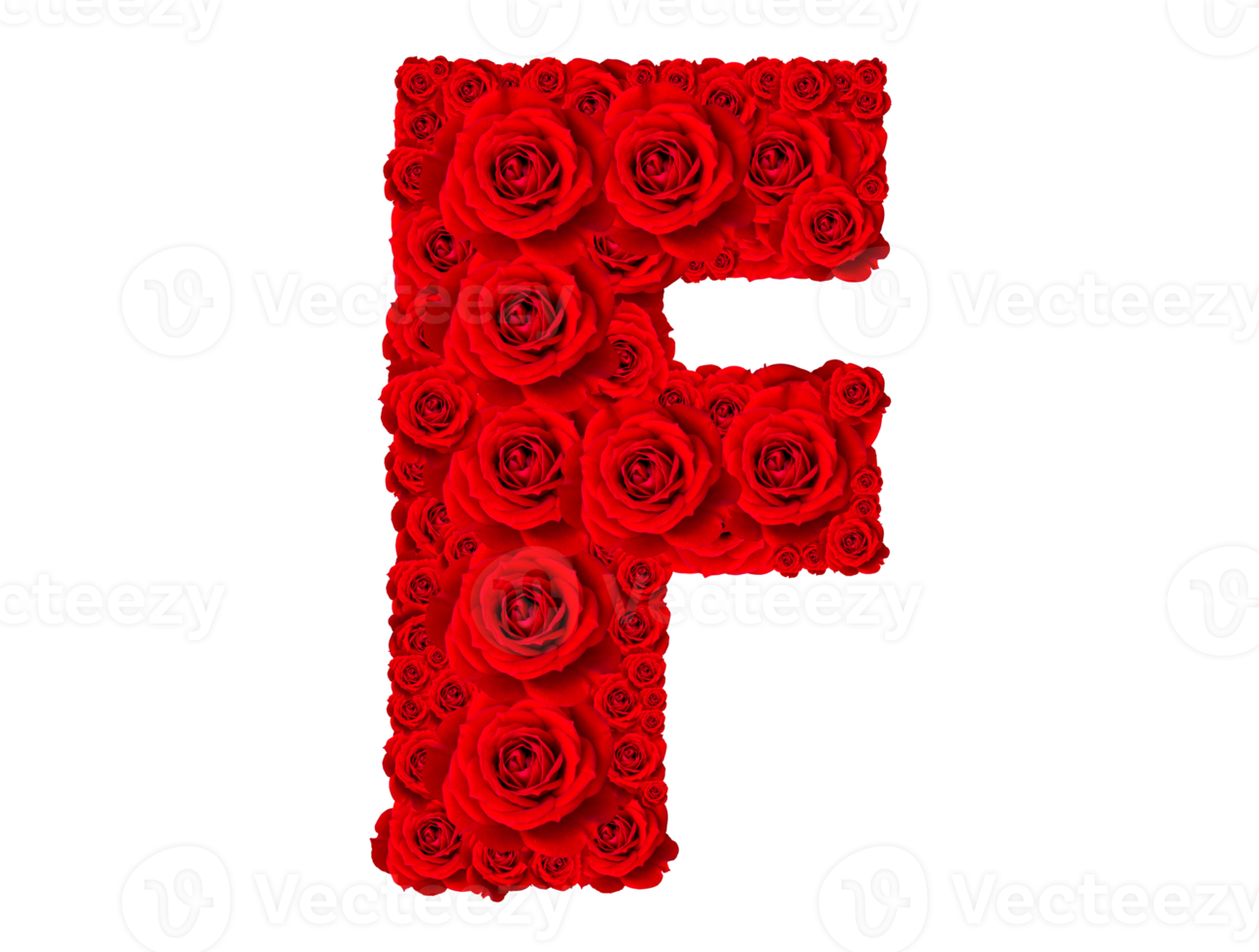 Rosa alfabeto conjunto - alfabeto capital letra F hecho desde rojo Rosa flores png