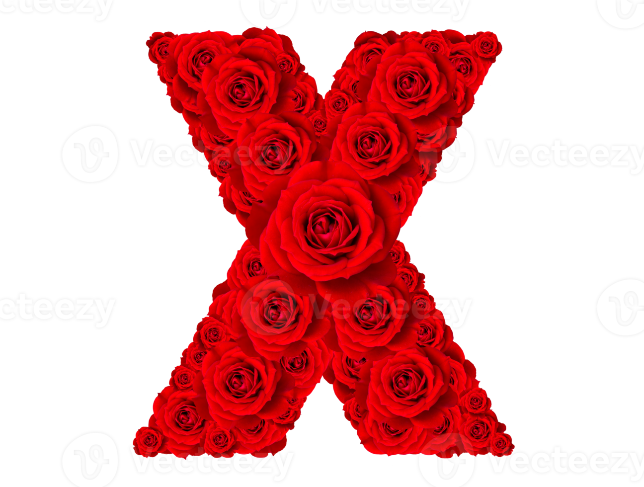 Rose alphabet set - Alphabet capital letter X made from red rose blossoms png