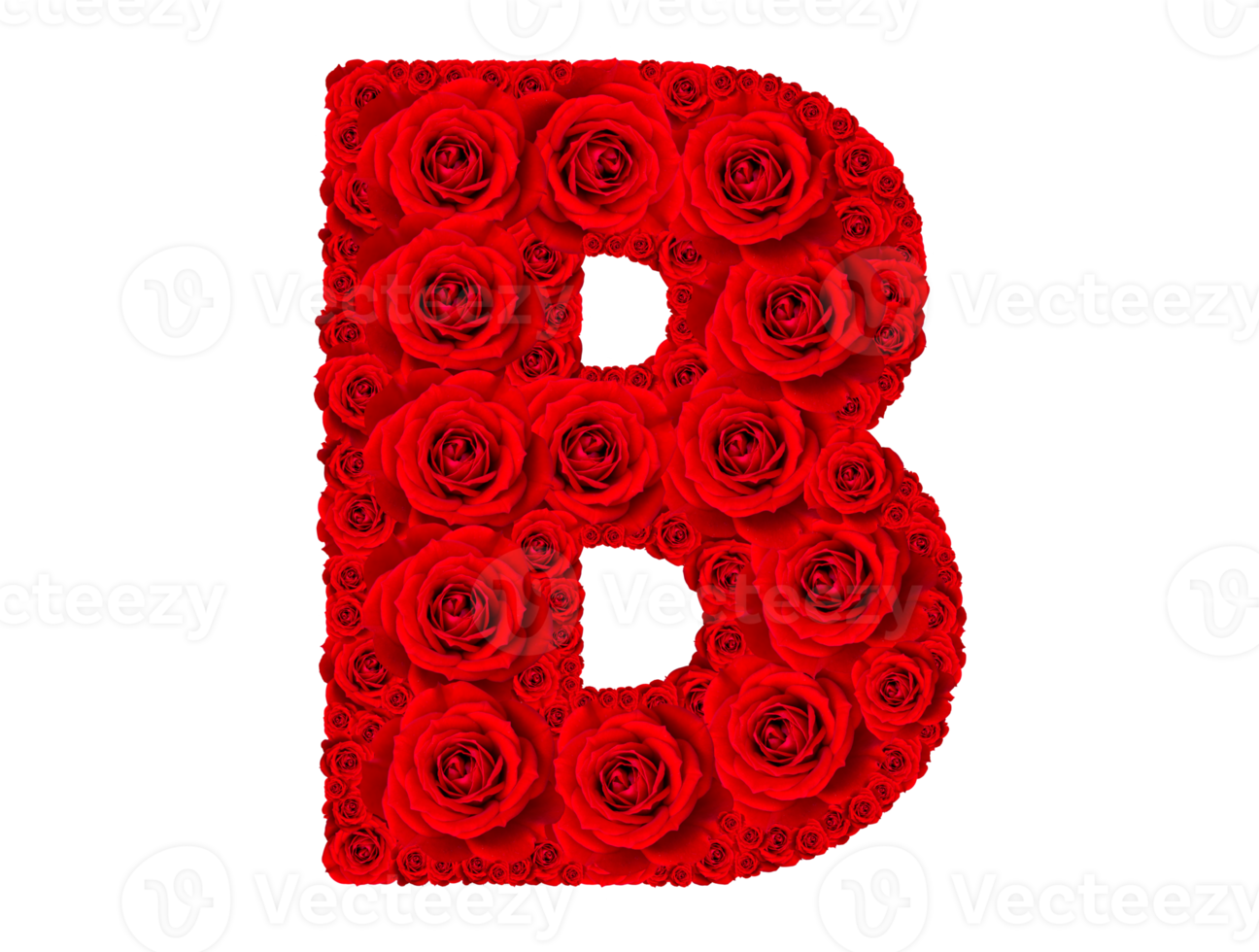 Rose alphabet set - Alphabet capital letter B made from red rose blossoms png