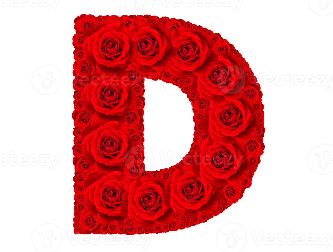 Rose alphabet ensemble - alphabet Capitale lettre ré fabriqué de rouge Rose fleurs png