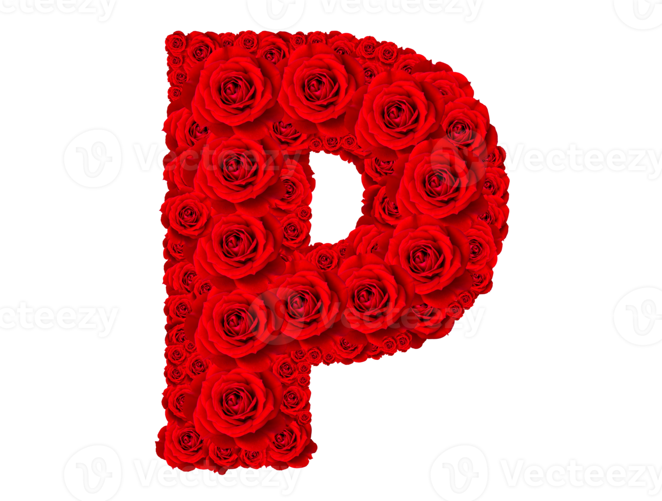 Rose alphabet ensemble - alphabet Capitale lettre p fabriqué de rouge Rose fleurs png