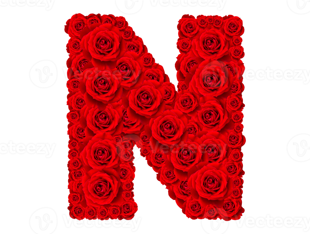 roos alfabet reeks - alfabet hoofdstad brief n gemaakt van rood roos bloesems png