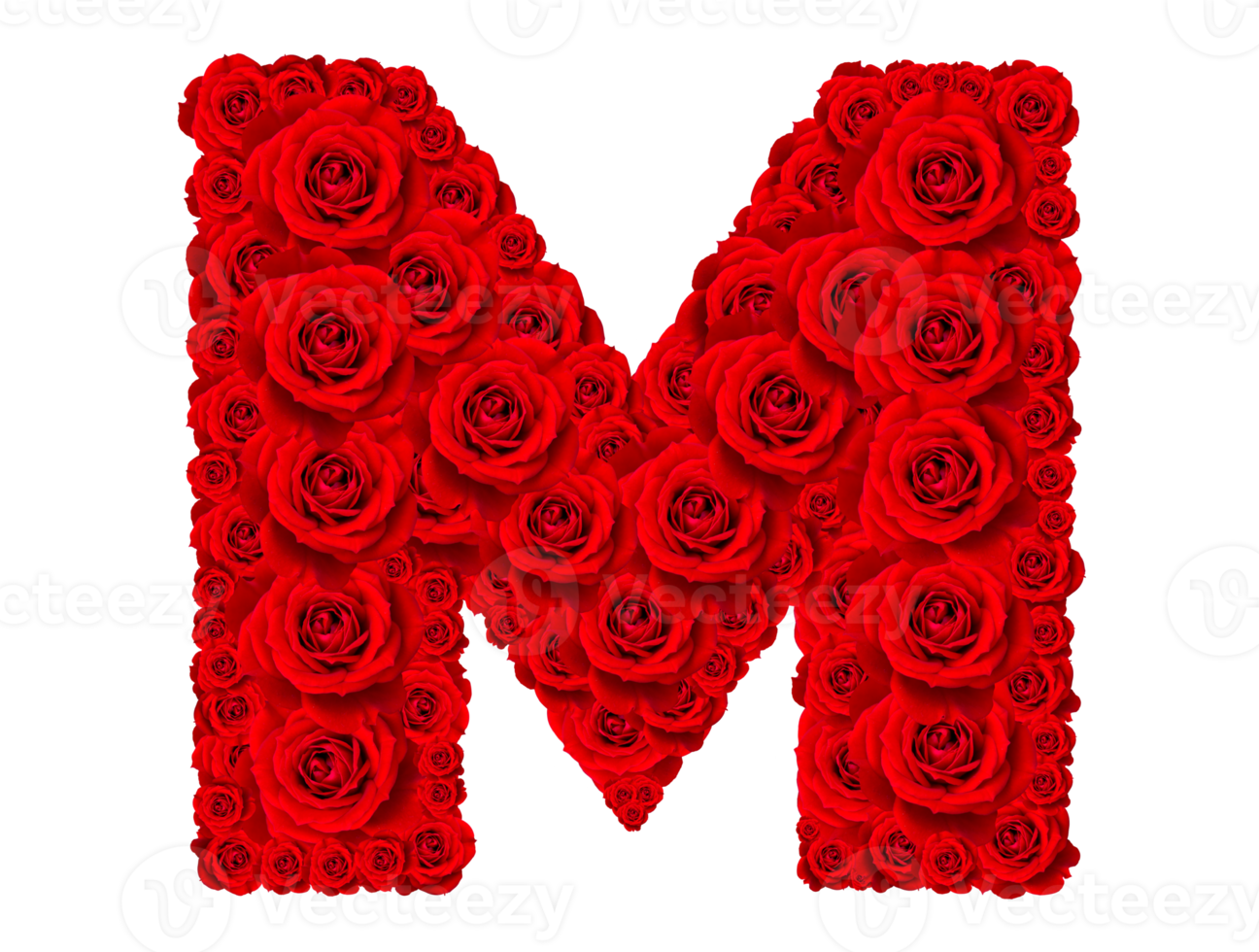 Rose alphabet set - Alphabet capital letter M made from red rose blossoms png