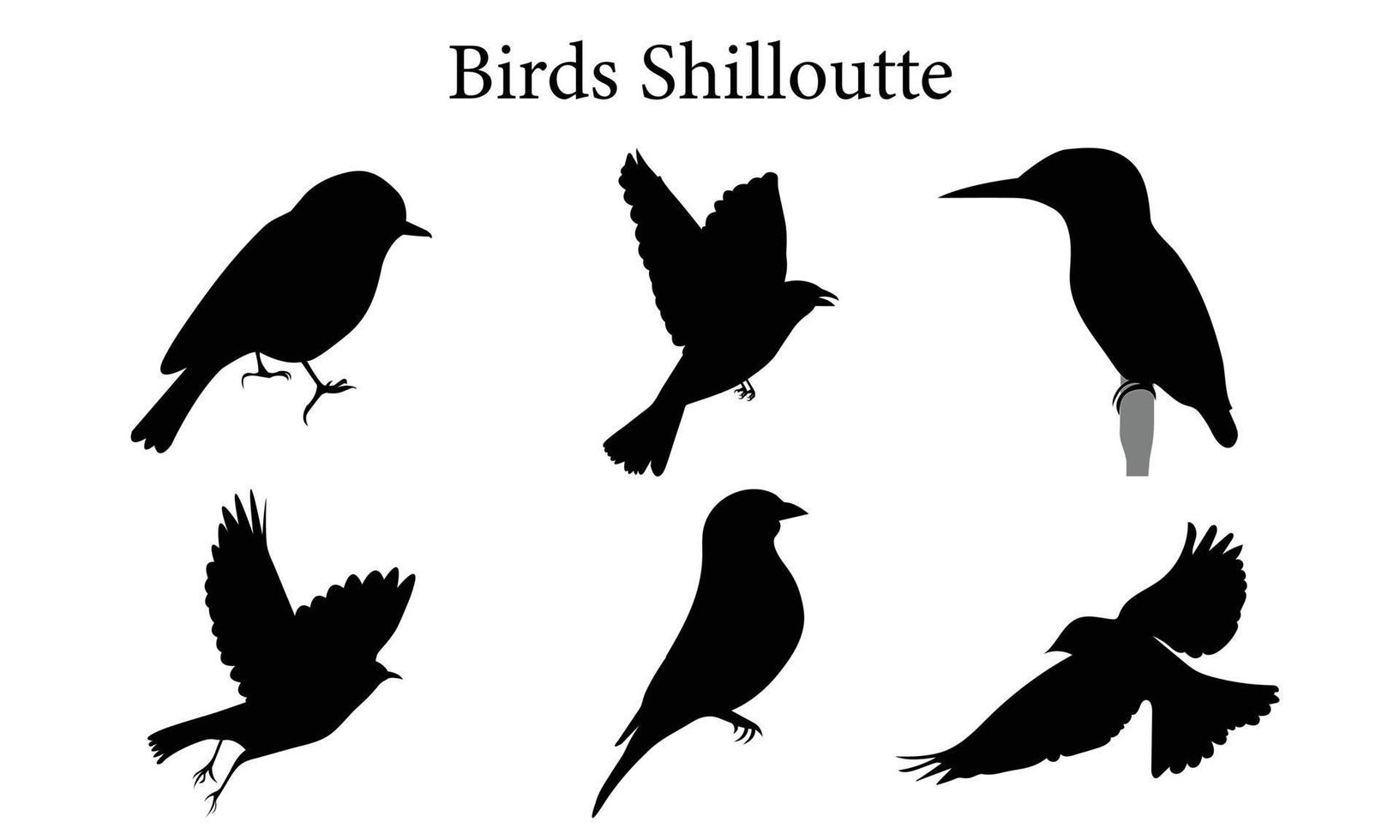 Flying birds silhouettes on white background. Vector illustration. isolated bird flying. tattoo design.