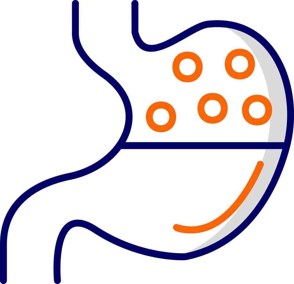 Stomach Vector Icon