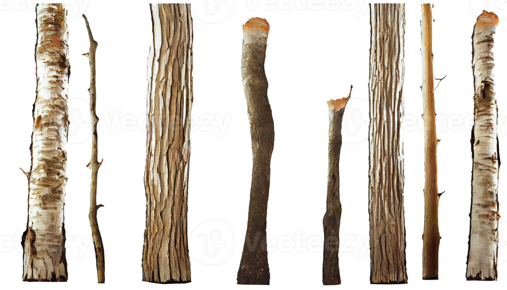 Tree Trunks transparent background png