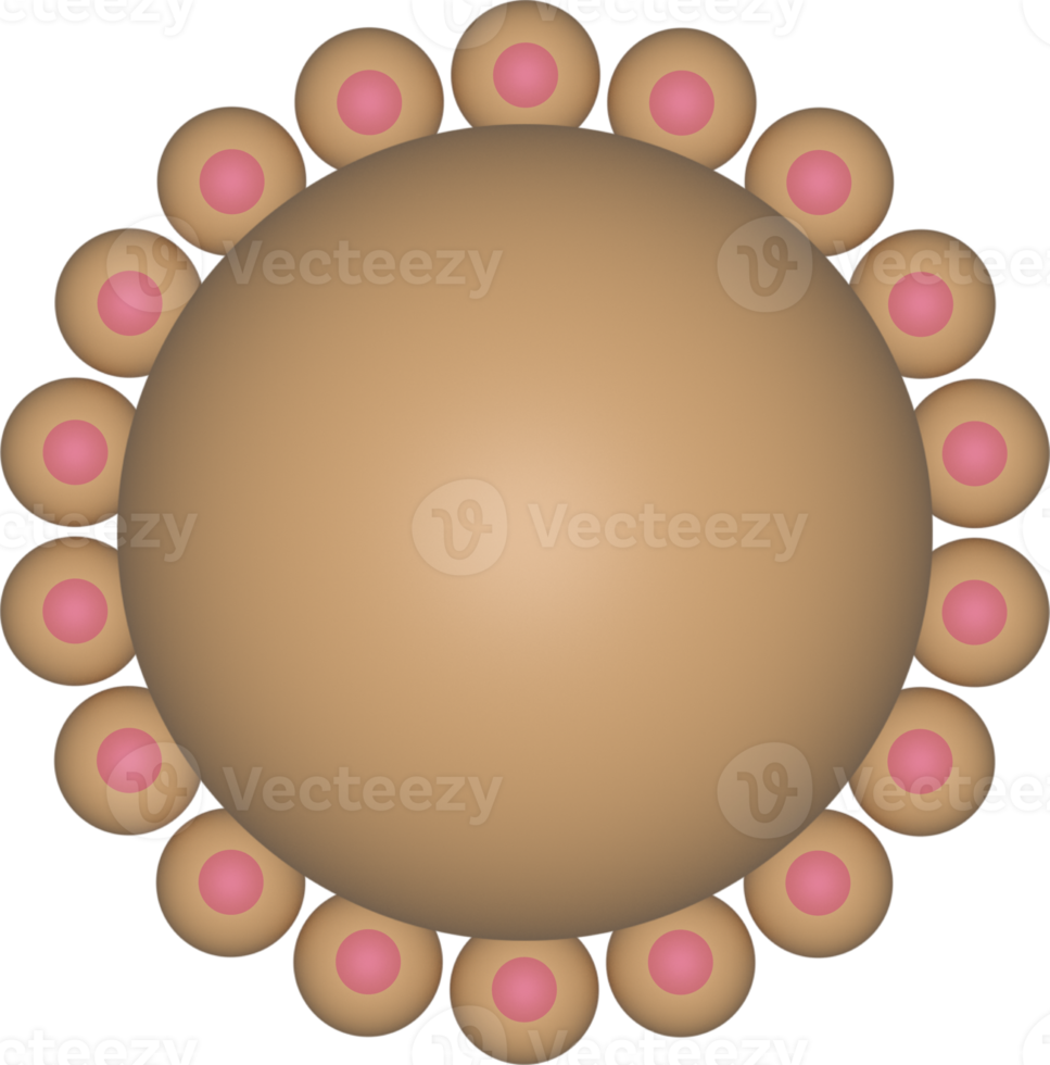 isolato 3d oro circolare telaio astratto fiore decorazione png