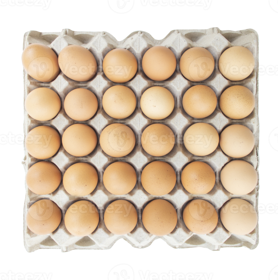 Open egg box with 30 brown eggs. Fresh organic chicken eggs in carton