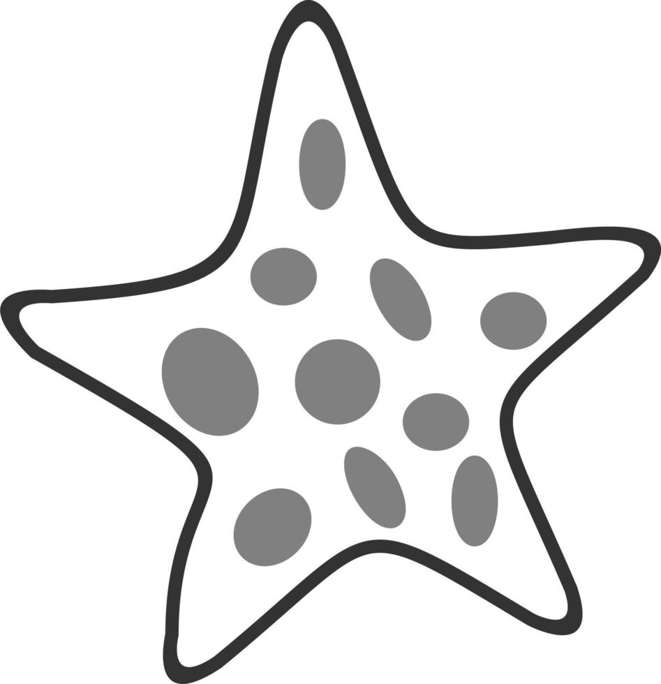 Starfish Vector Icon