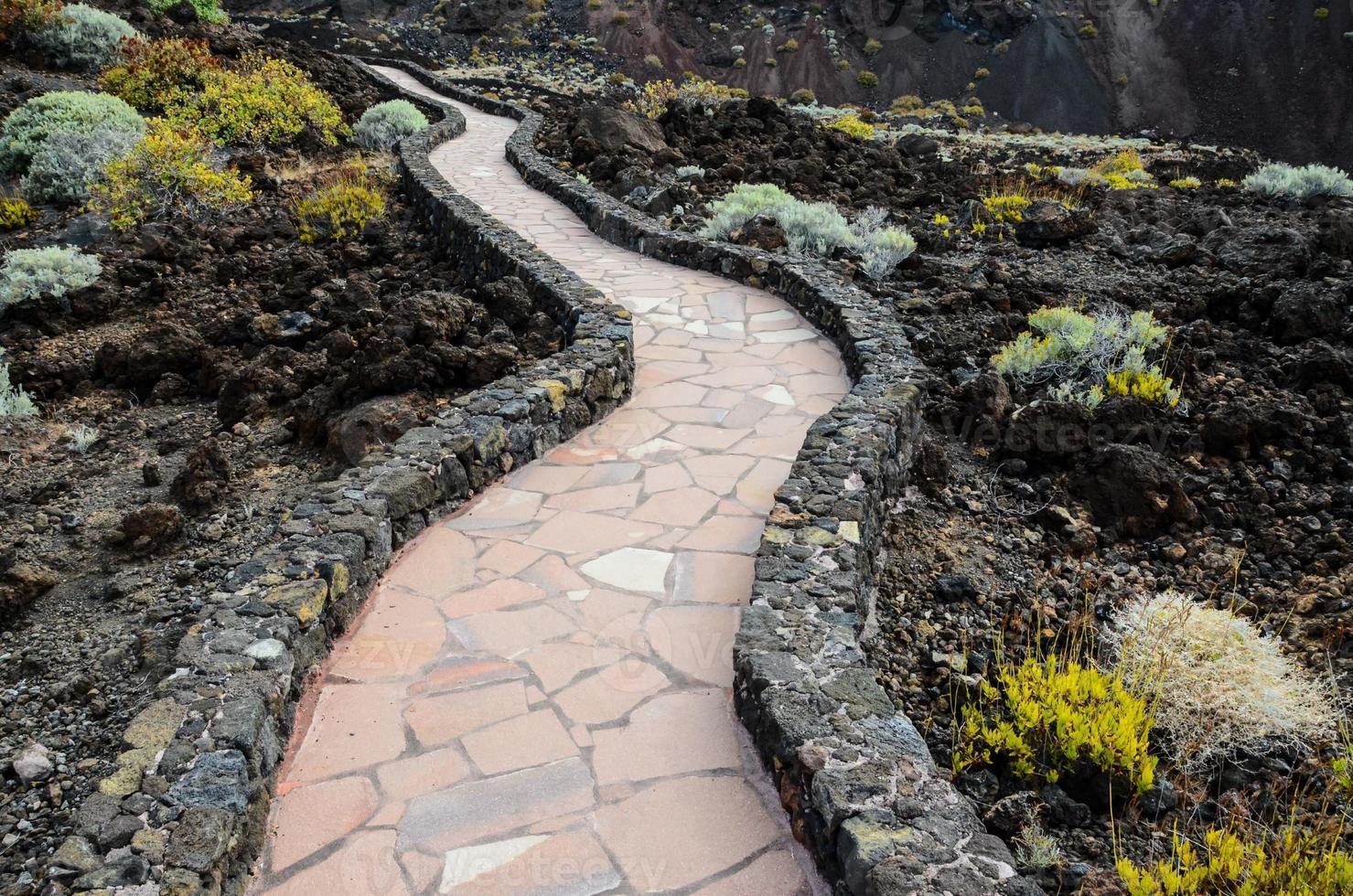 Path through the garden photo