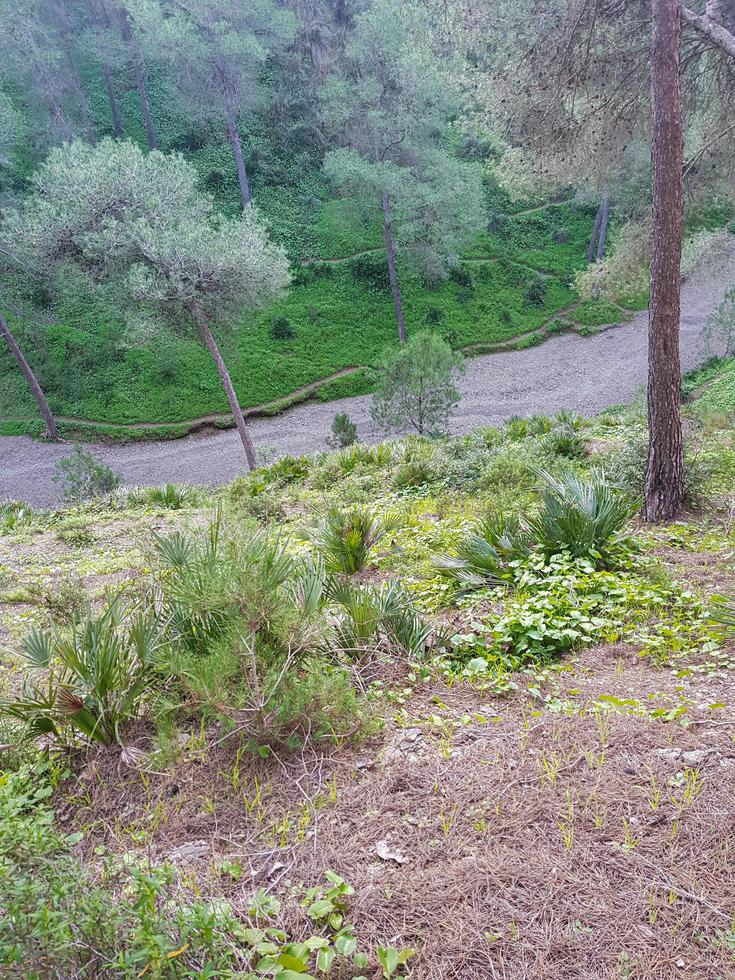 Unveil the hidden beauty of the natural mountain footpath in the valley from above photo