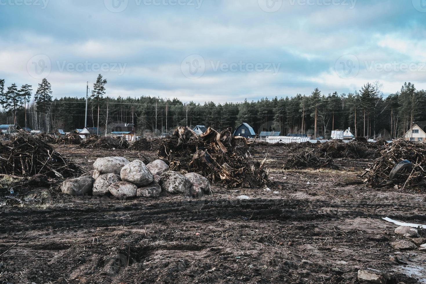 construction area with puddles and mud along the forest with piles of uprooted stumps and cobblestones photo