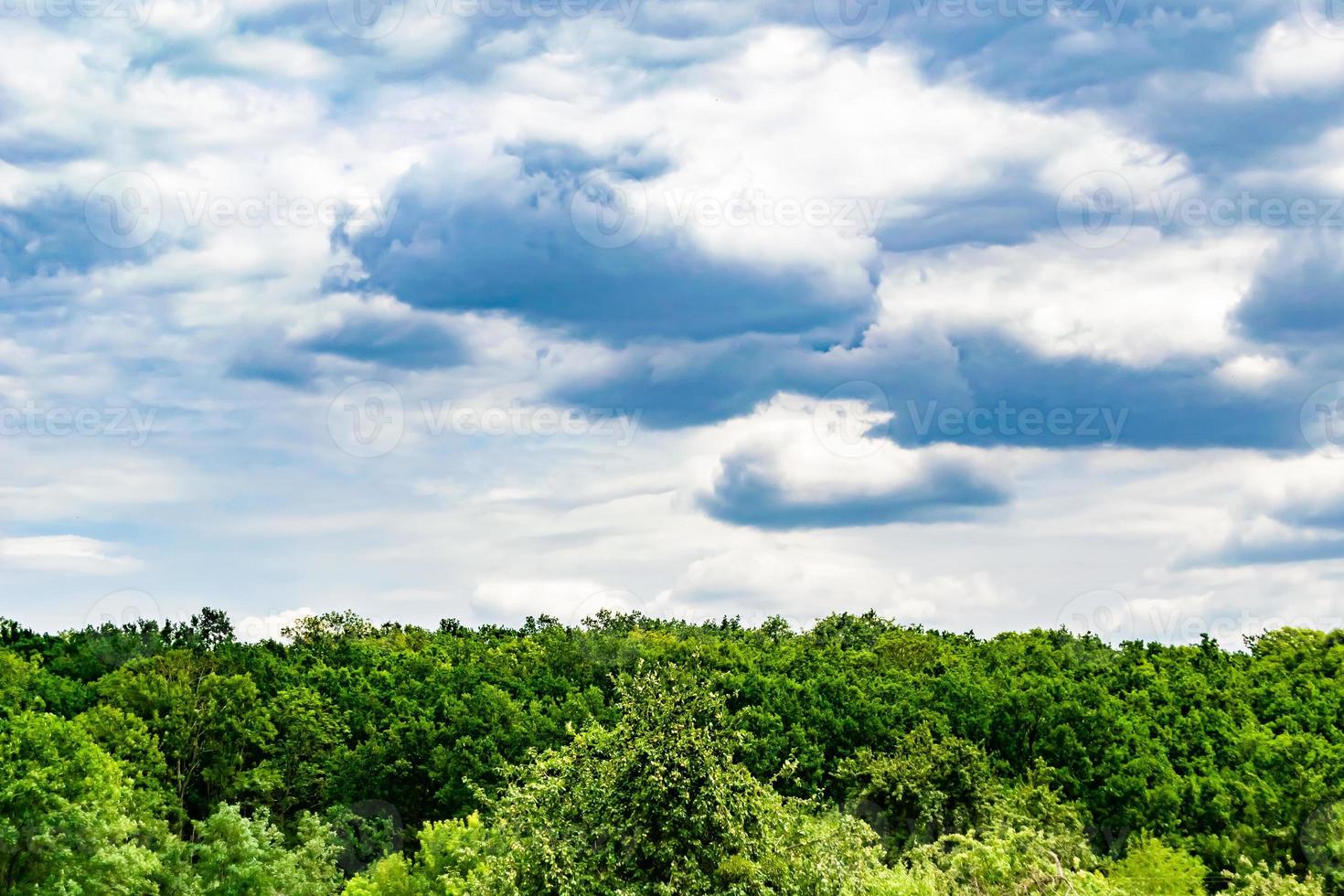 Beautiful horizon scenery in village meadow on color natural background photo