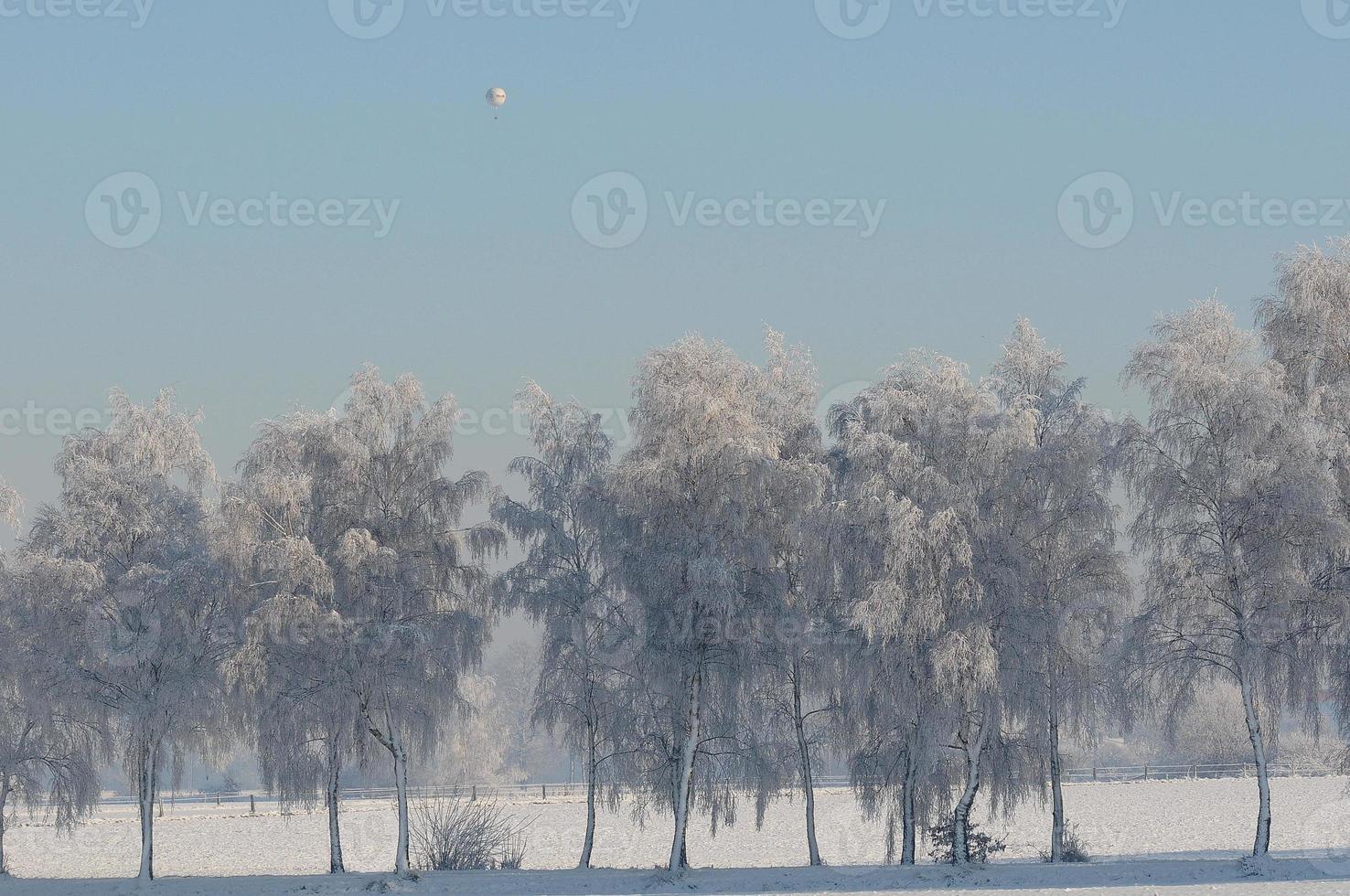 winter time in westphalia photo