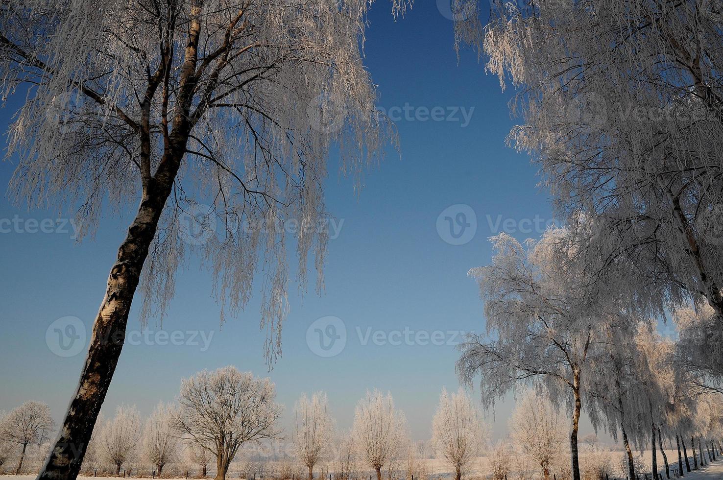 winter time in germany photo