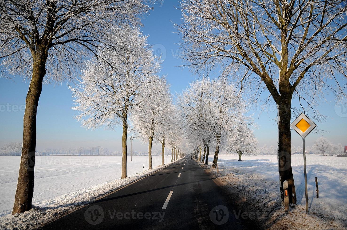 winter time in germany photo