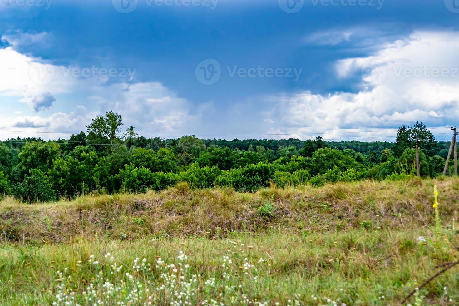 Beautiful horizon scenery in village meadow on color natural background photo