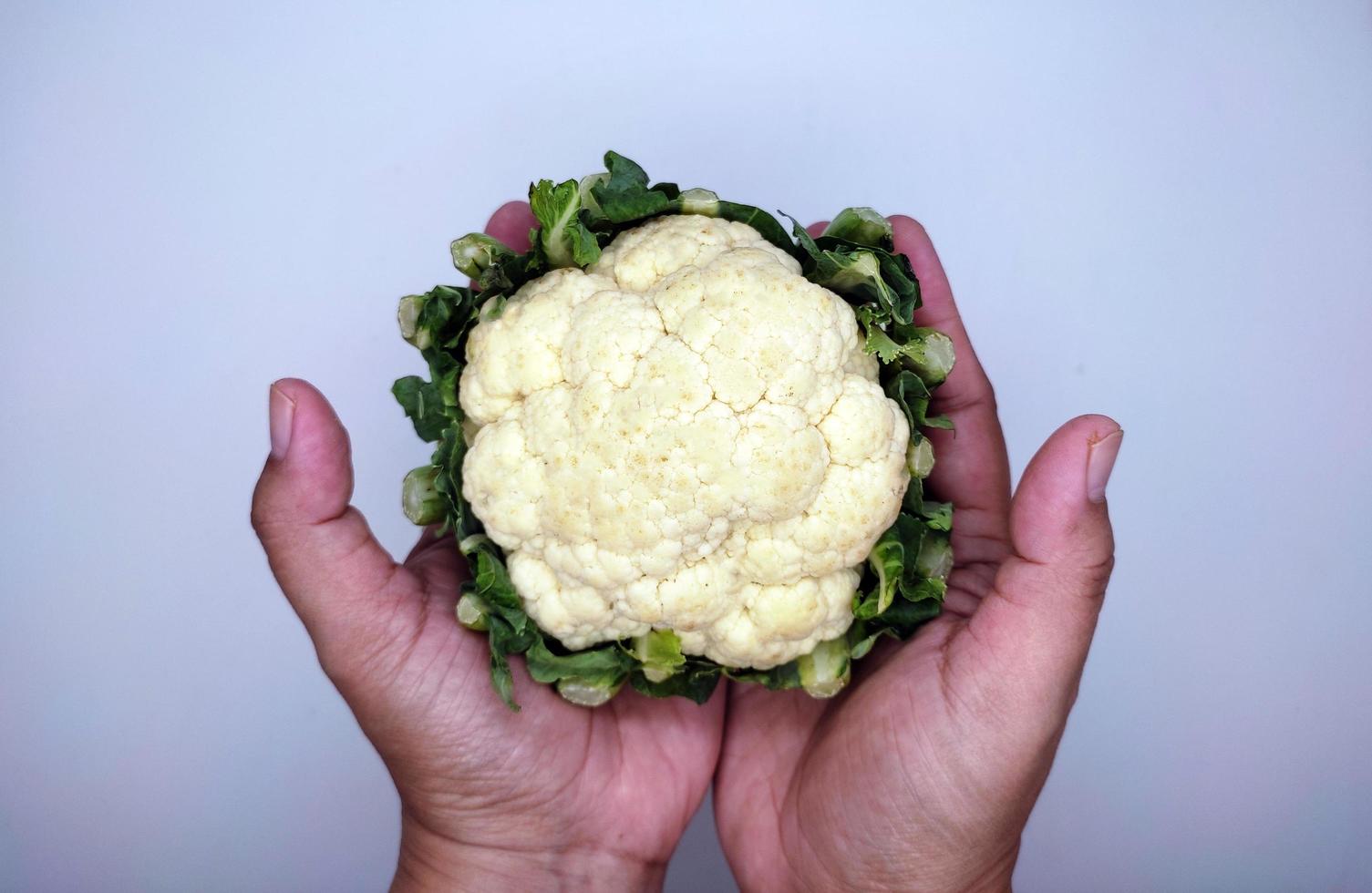 cauliflower is above both hands photo