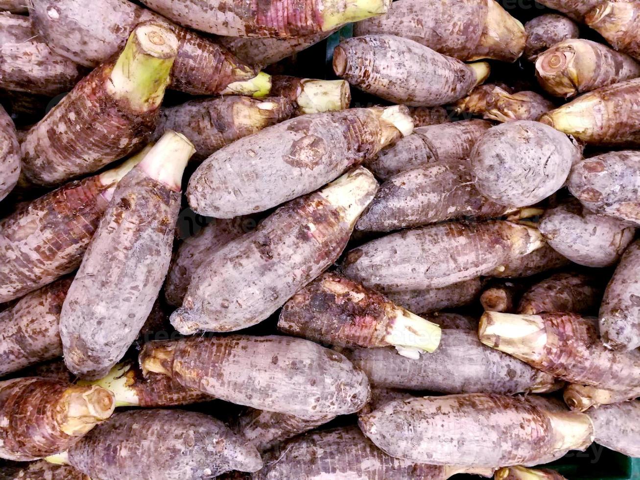 Close up and crop taro root background and texture. photo