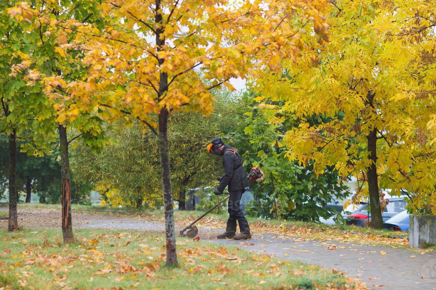 A man with a lawn mower cuts grass in autumn photo