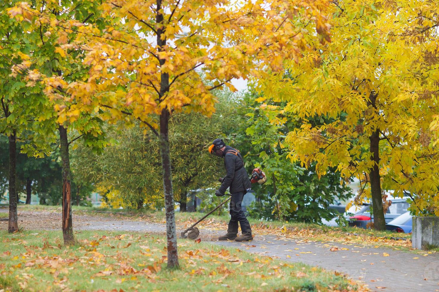 un hombre con un césped cortacésped cortes césped en otoño foto