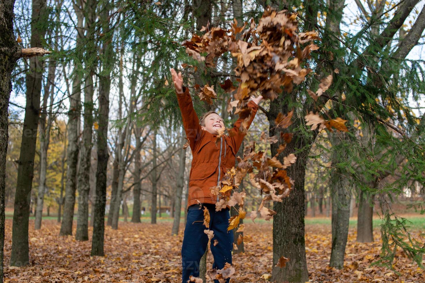 A boy catches autumn yellow leaves that fly at him photo