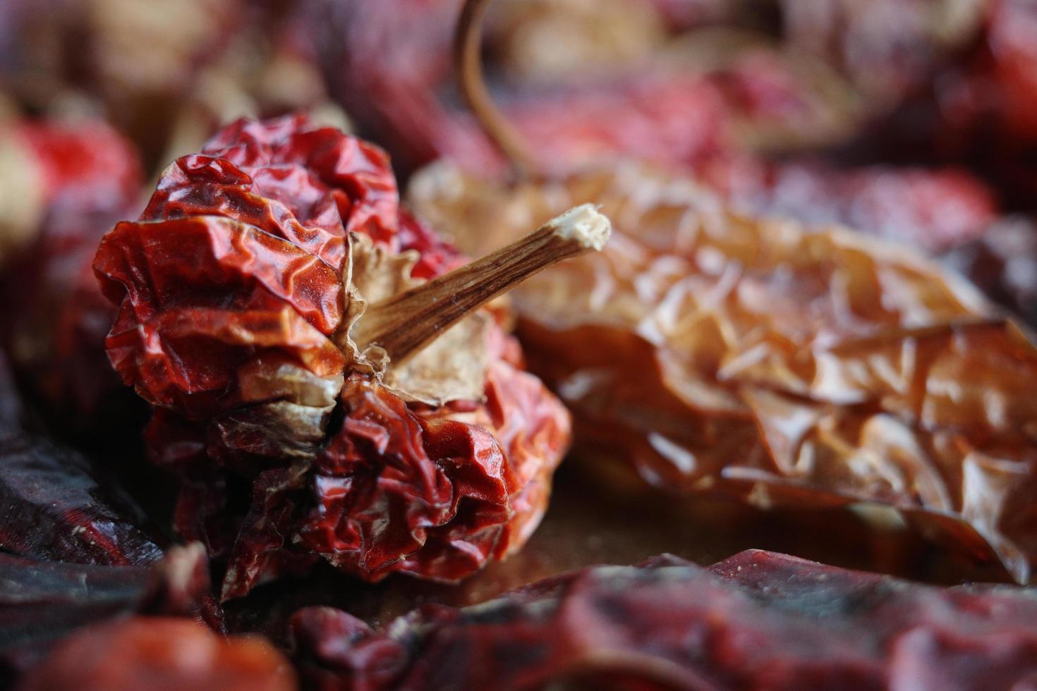 Dried chili macro on tabletop photo