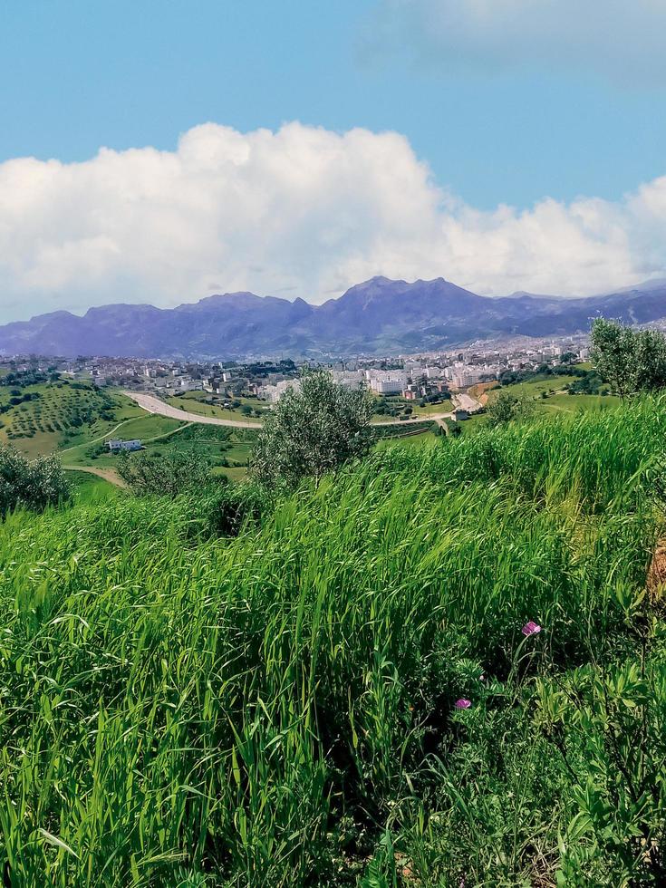 explorar el pintoresco paisaje en el afueras de el ciudad, un viaje dentro el corazón de urbano tranquilidad y natural belleza foto