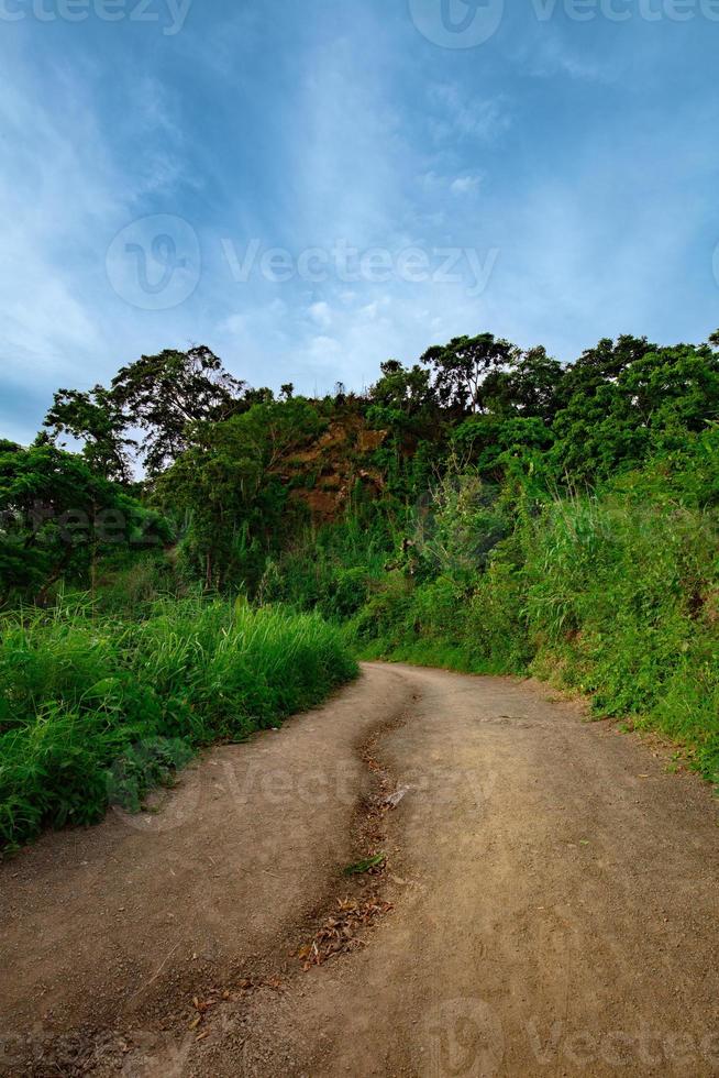 Road to Kanglok para in Sajek, Bangladesh photo