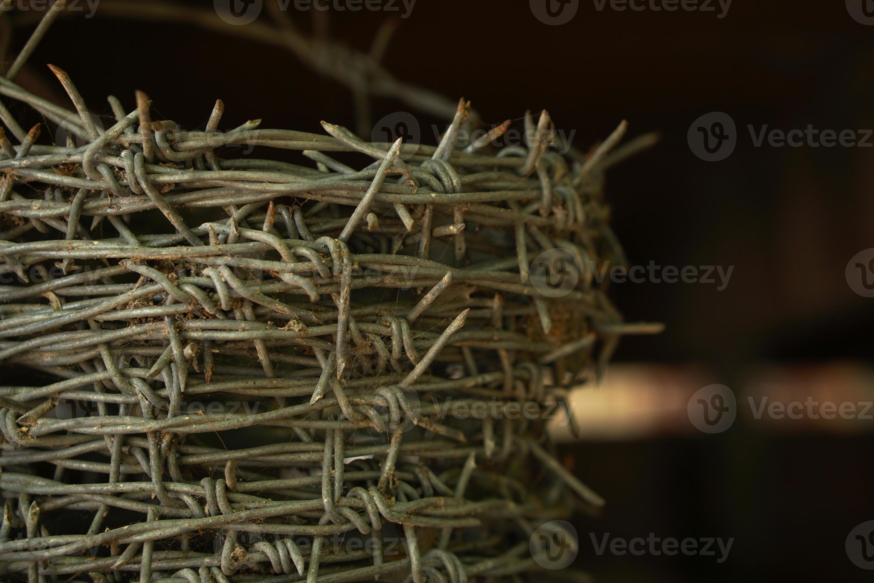 Old barbed wire wrapped in a circle 21037740 Stock Photo at Vecteezy