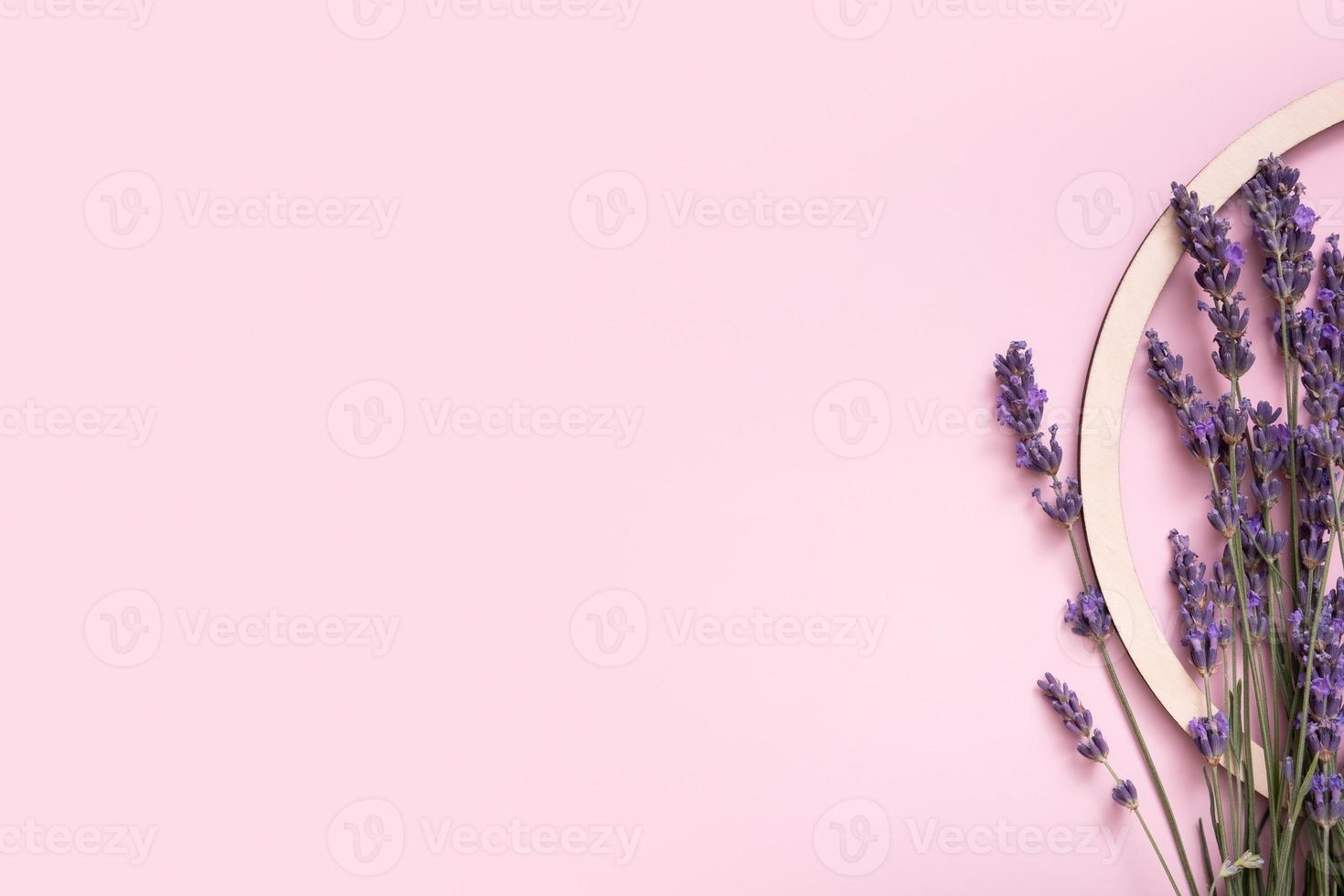 Lavender flowers on colored background top view. Copy space photo