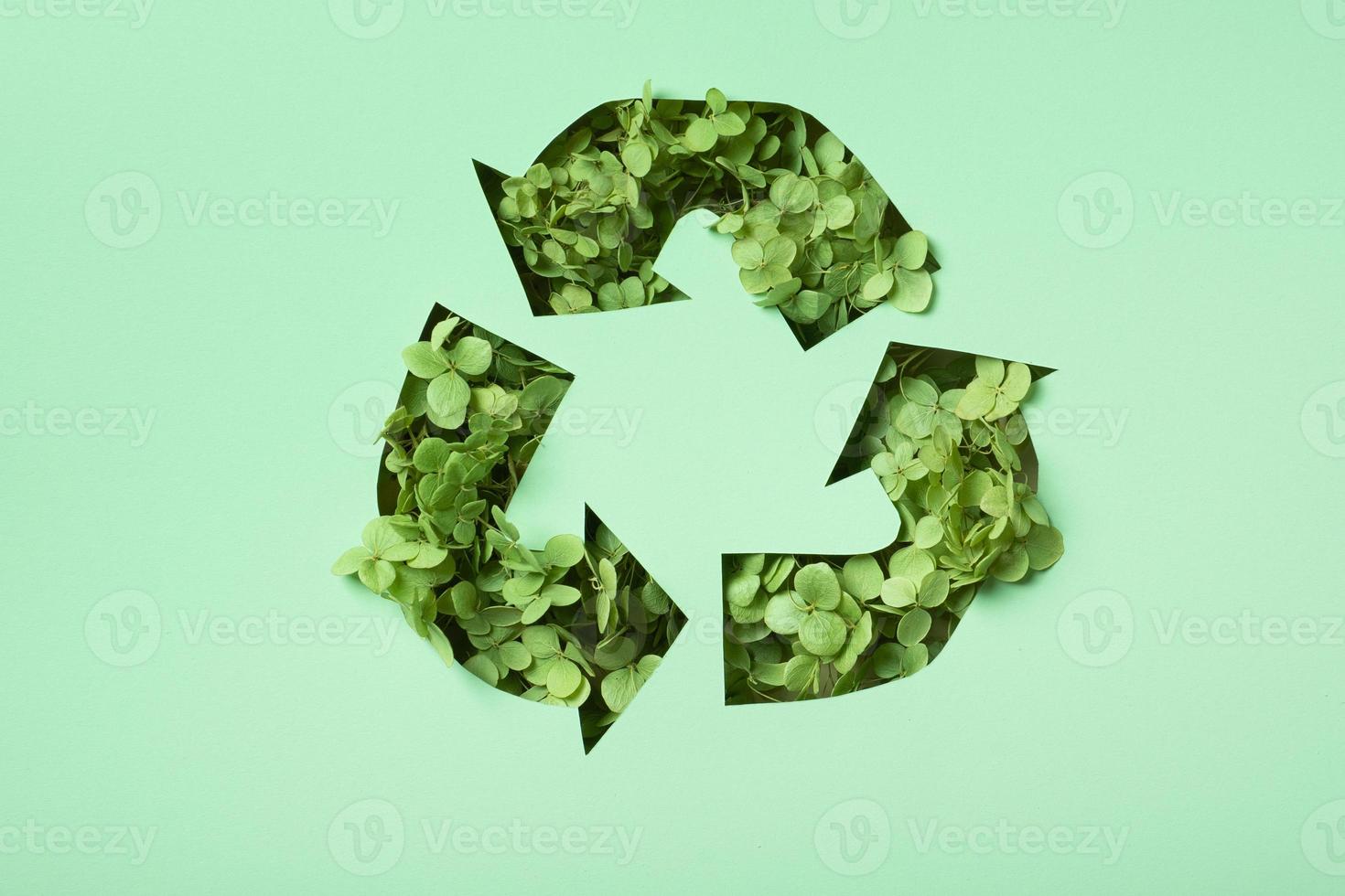 Green flowers under paper cut recycling symbol. Save planet recycling cloth concept photo