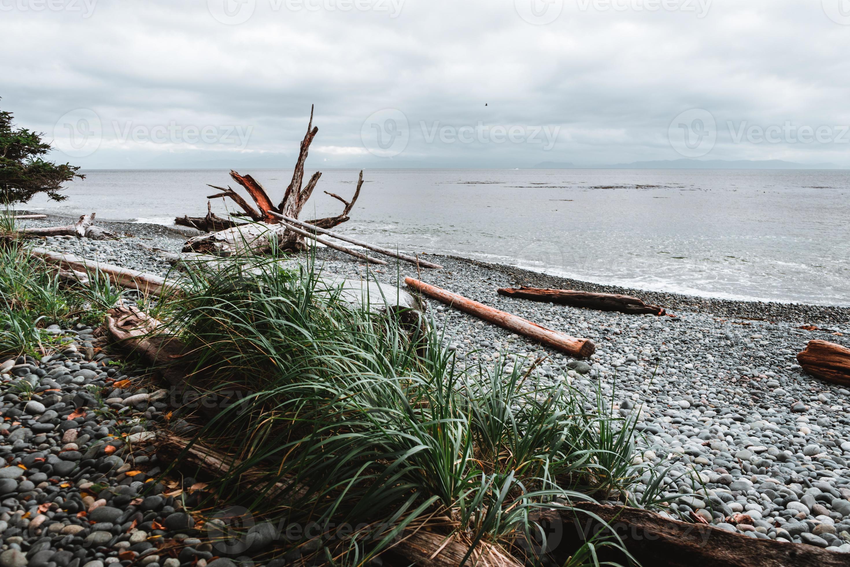 Rough coastline on Vancouver Island, British Columbia, Canada 21038064