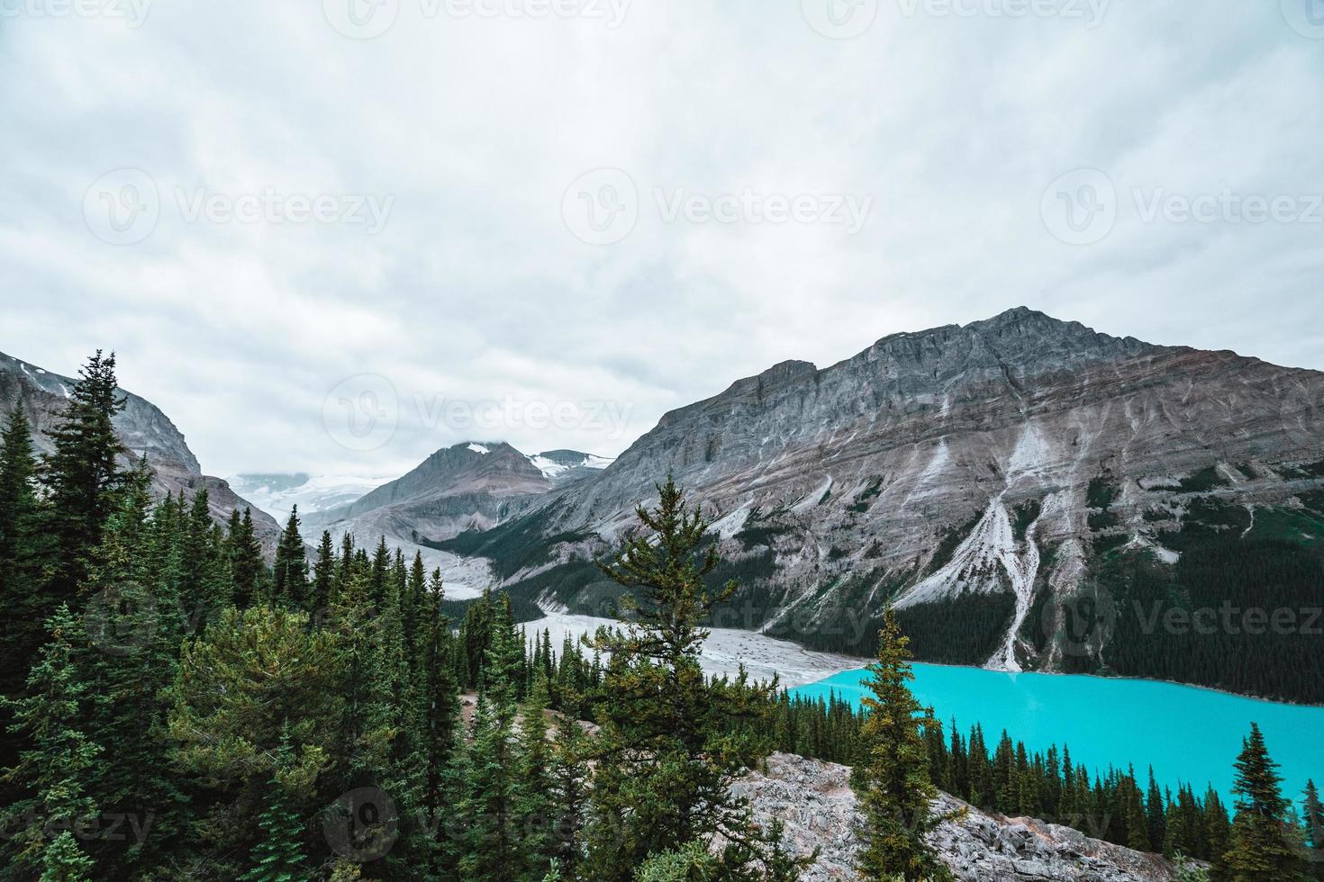 Majestic Peyto Lake in Alberta, Canada with stunning turquoise water photo