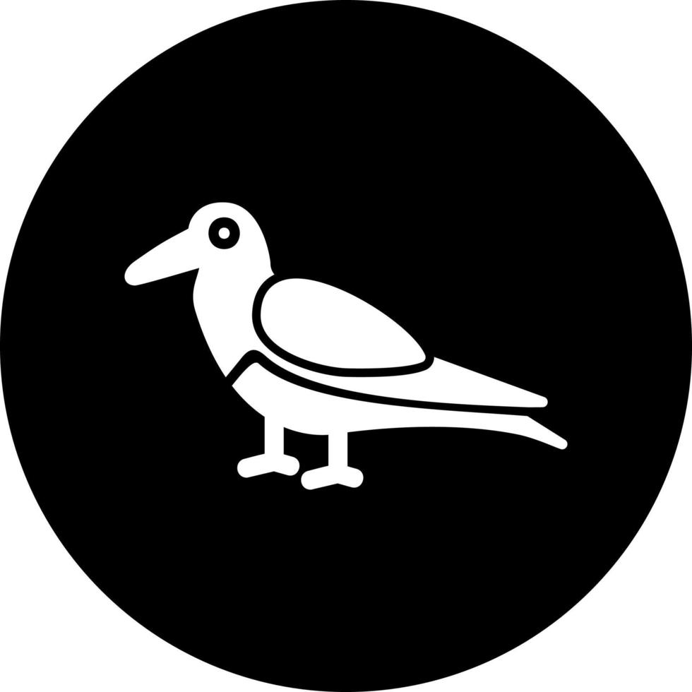 Oystercatcher Vector Icon