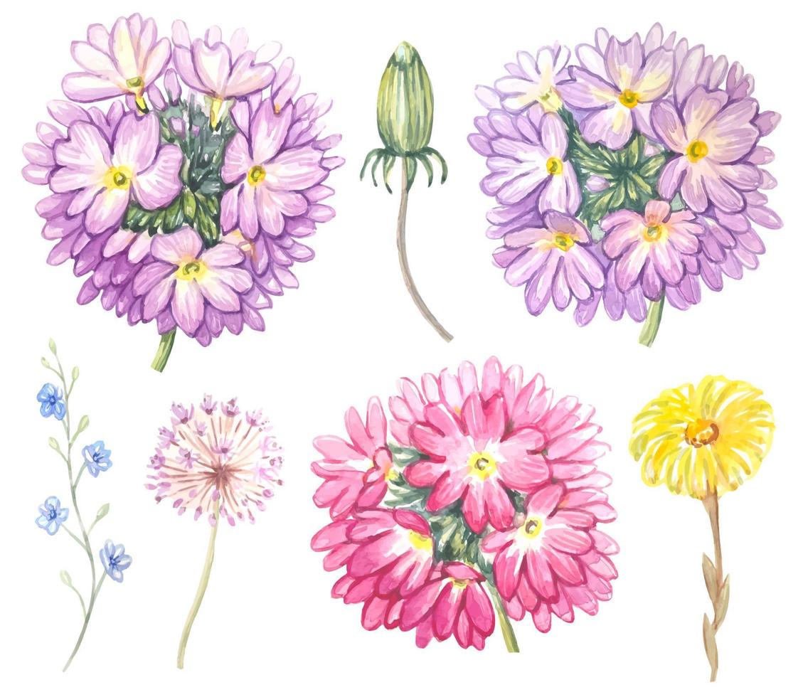 Set of vector spring flower buds, watercolor