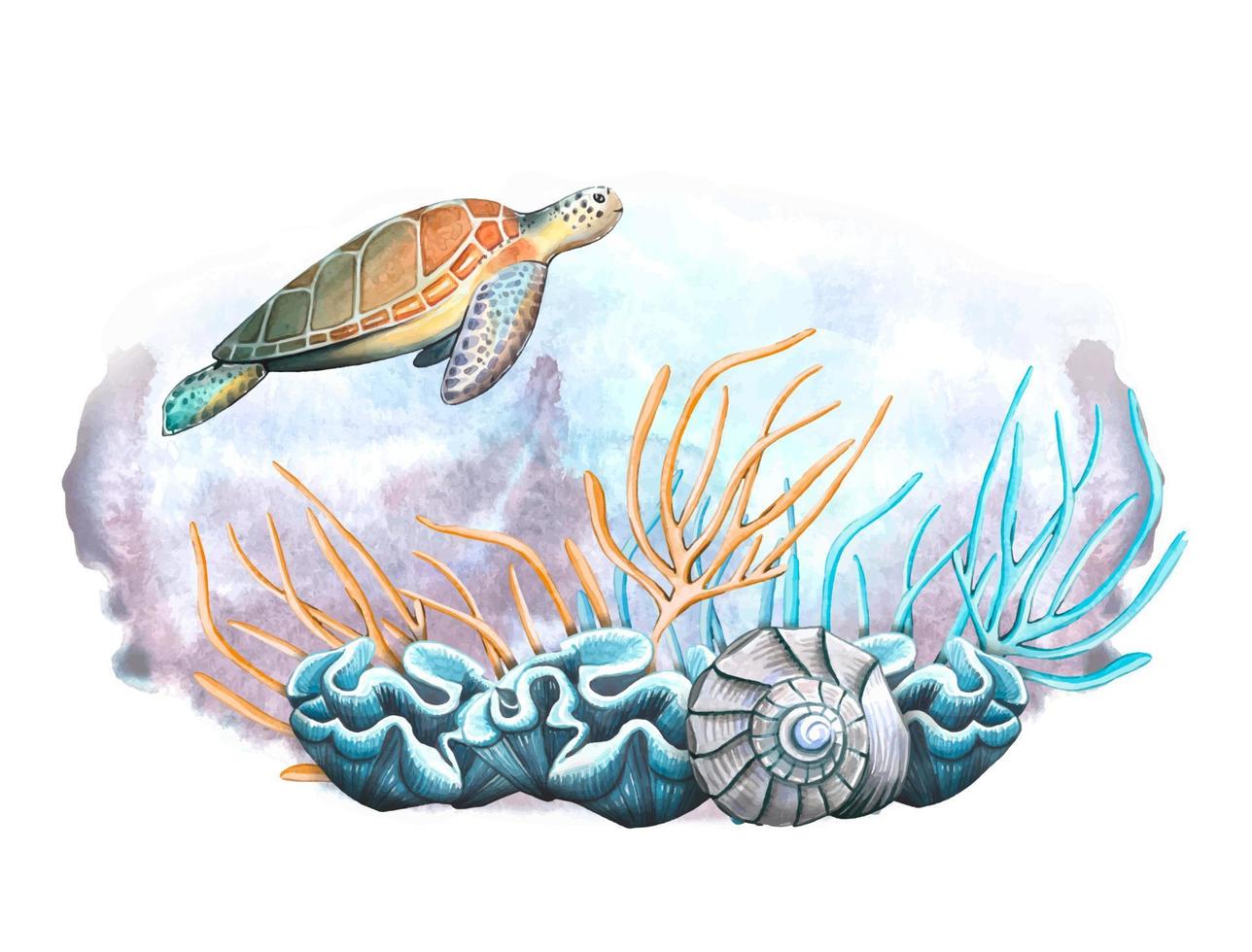 Ocean vector background, with algae, shell, turtle. Watercolor