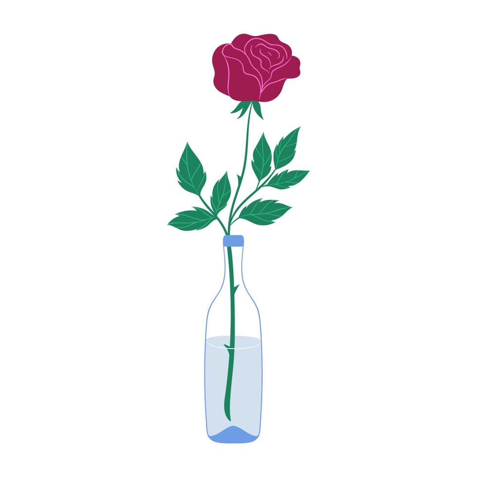 A red rose in a bottle is isolated on a white background. Vector graphics.