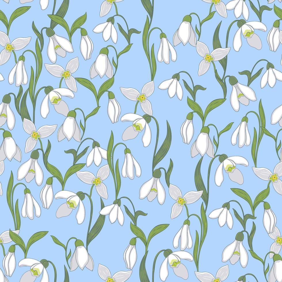 Seamless pattern with snowdrop flowers on a blue background. Vector graphics.