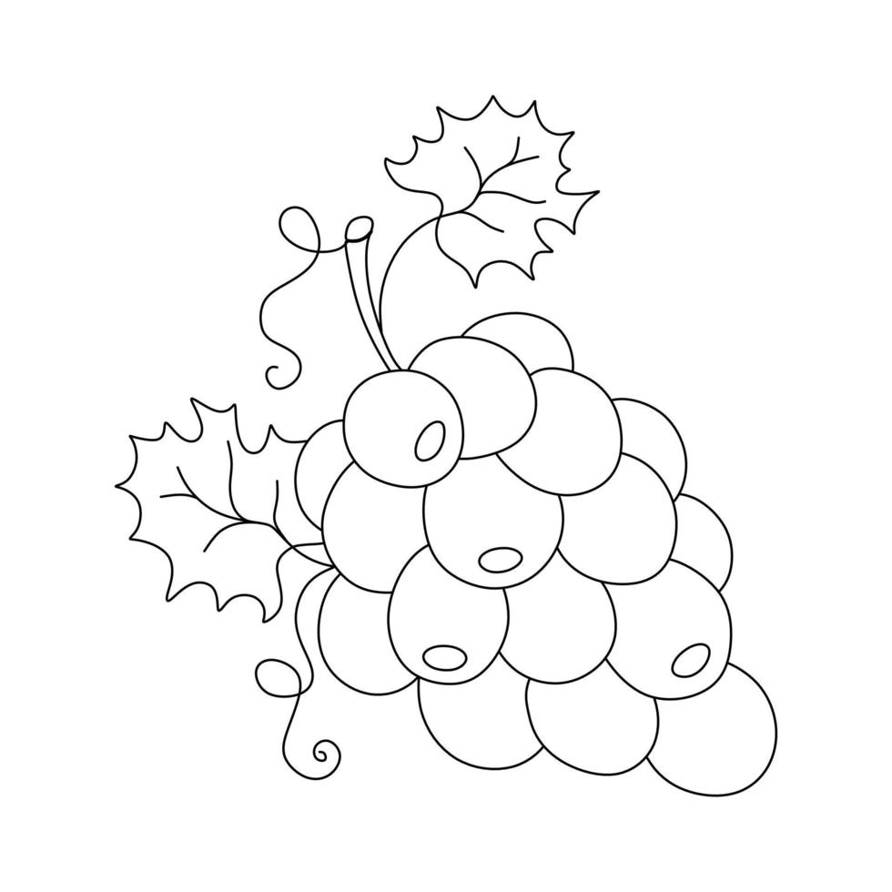 Grape doodle Vector illustration coloring book for Kids