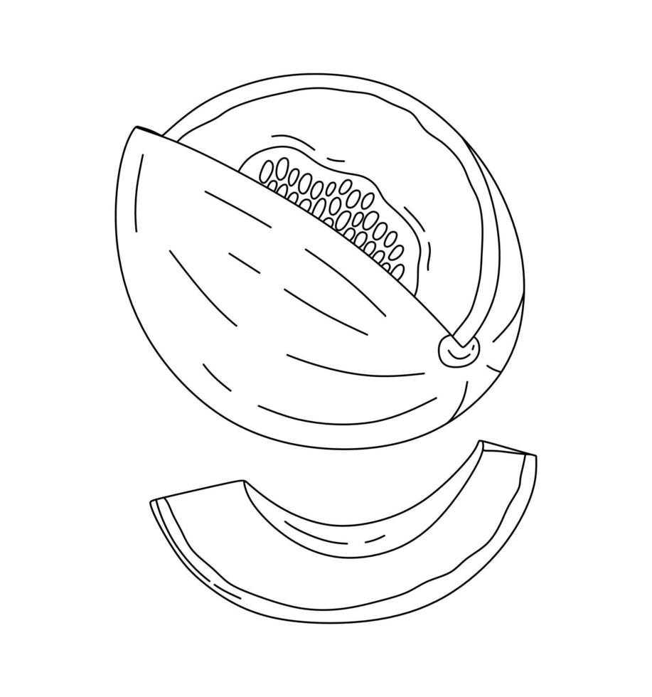 Melon doodle Vector illustration coloring book for Kids
