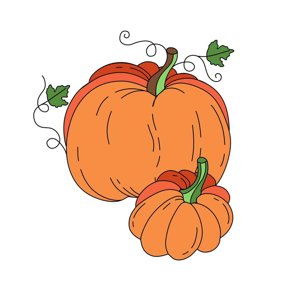 Pumpkin doodle Vector color illustration isolated on white background