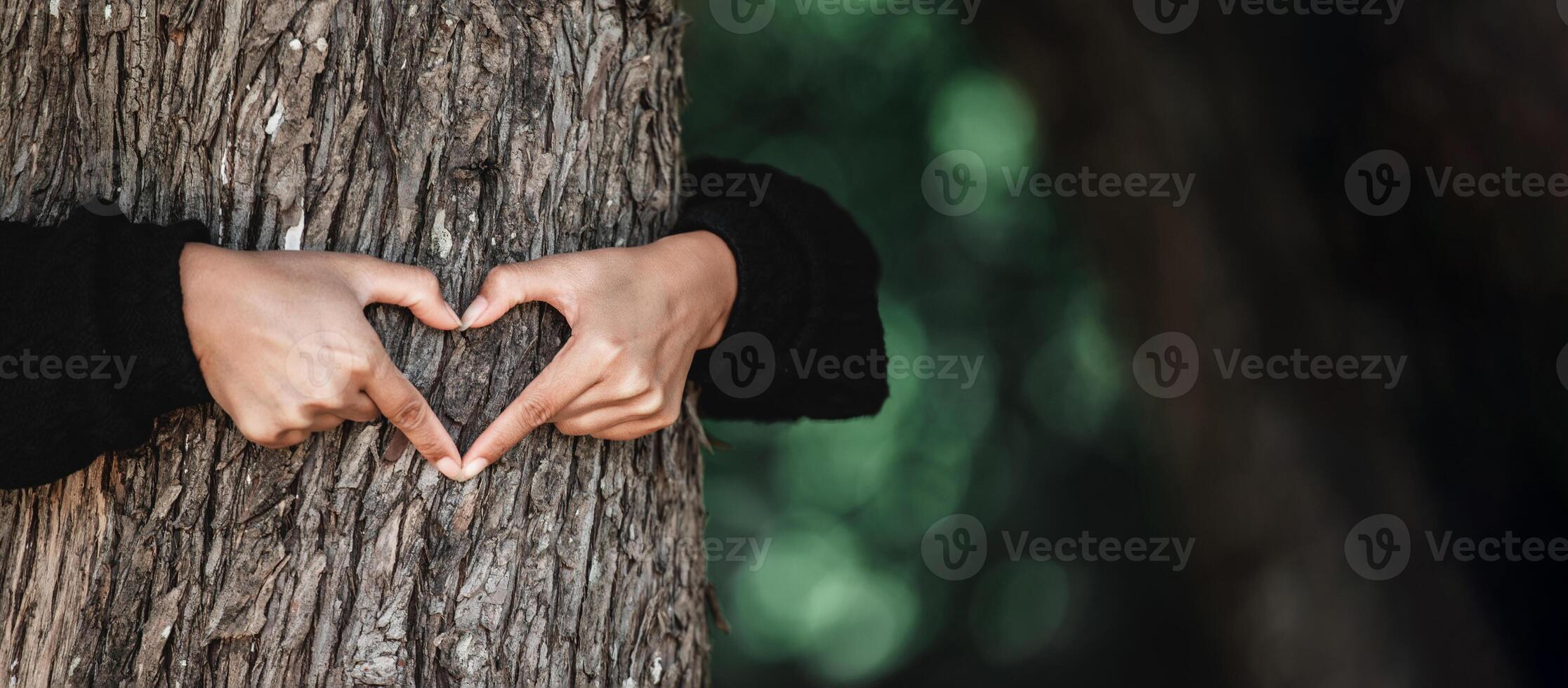 Young woman hug a tree in the forest and show a sign of heart and love for nature with copy space photo