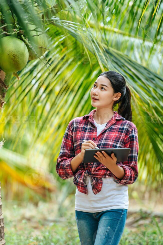 Portrait of Happy Asian young  farmer woman check quality of coconut in farm and using tablet computer to take orders online for customers. Agricultural and technology concepts. photo