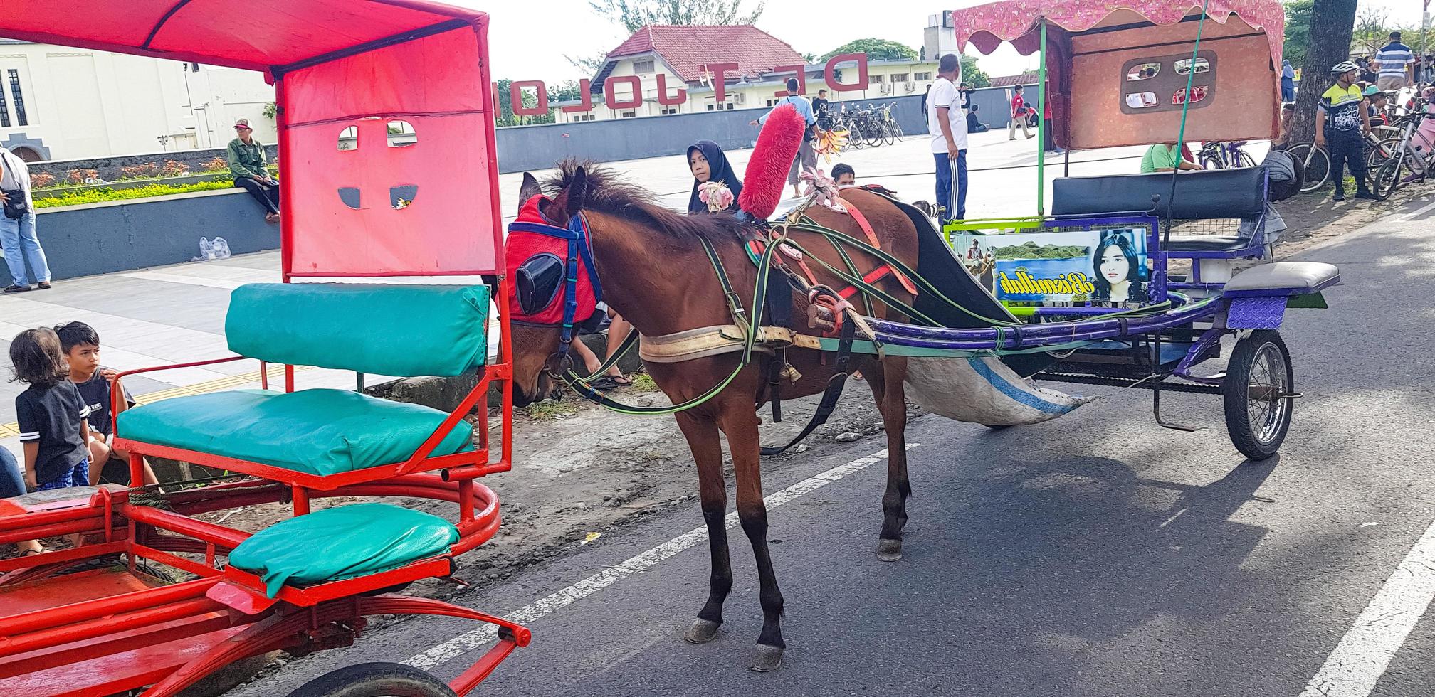 Surakarta, Indonesia, January 8, 2023 Dokar Wisata or chariot joyride in sunday car free day surakarta photo